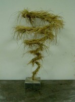 /album/fotogaleria/espiral-evolutiva-jpg1/
